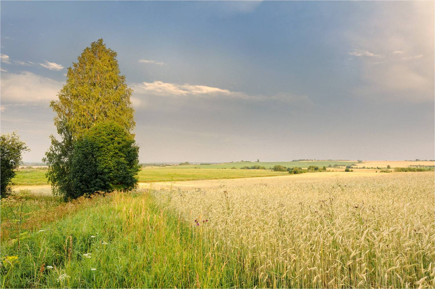 , Анатолий Гулин