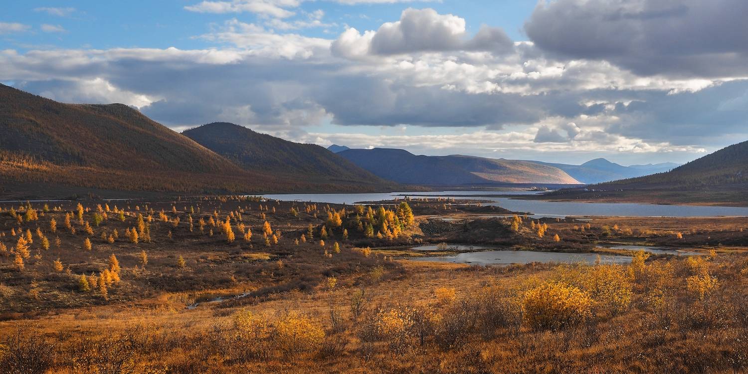 , Александр Попов