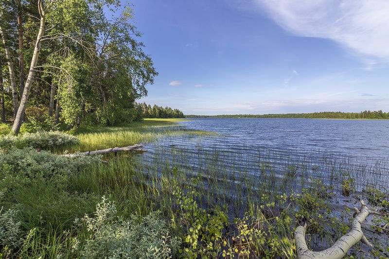 На озере. фото превью