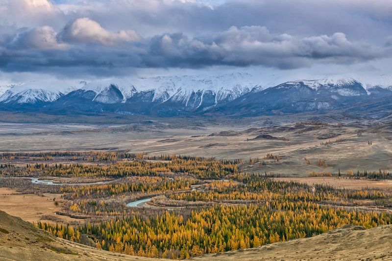Алтайский вид фото превью