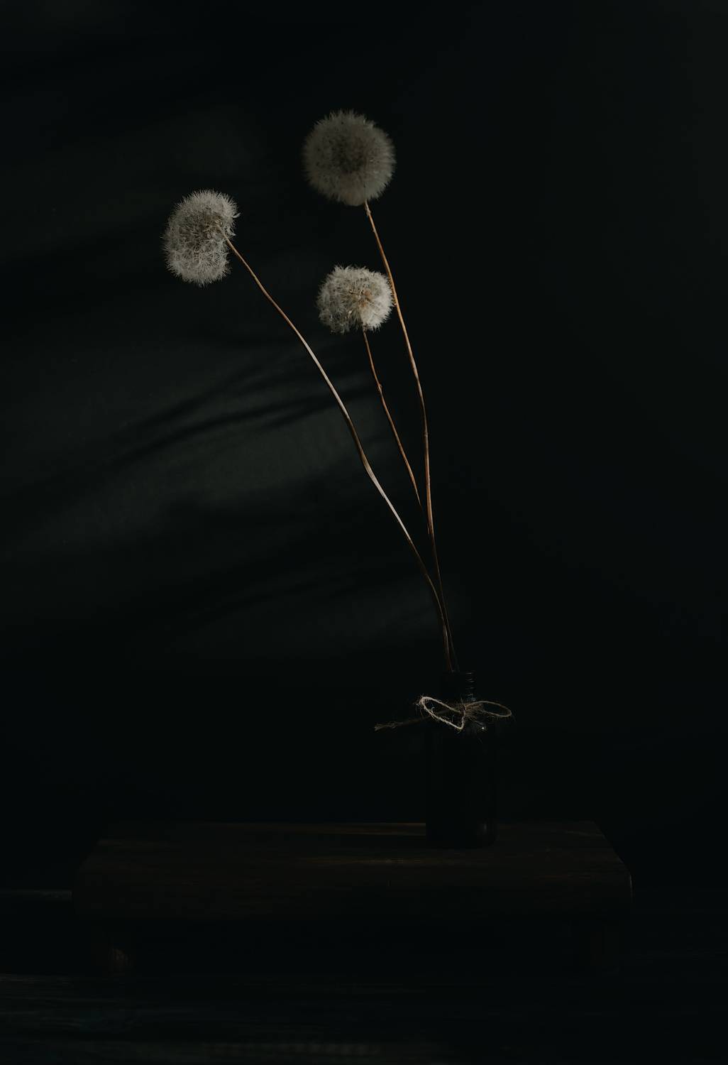 цветы, одуванчик, натюрморт, flowers, still life, flowers, Стасов Виталий