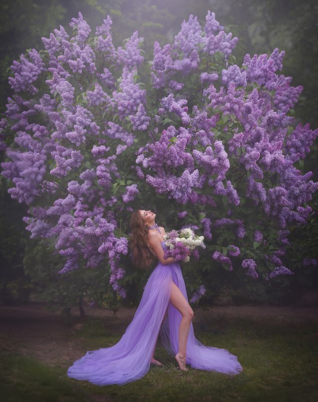 Lilac фото превью