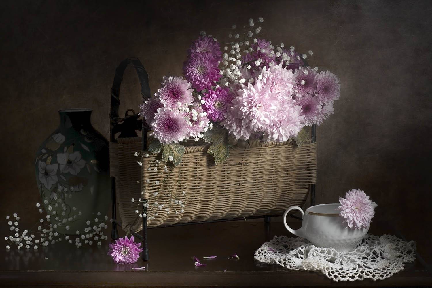 , Солодар Виктория