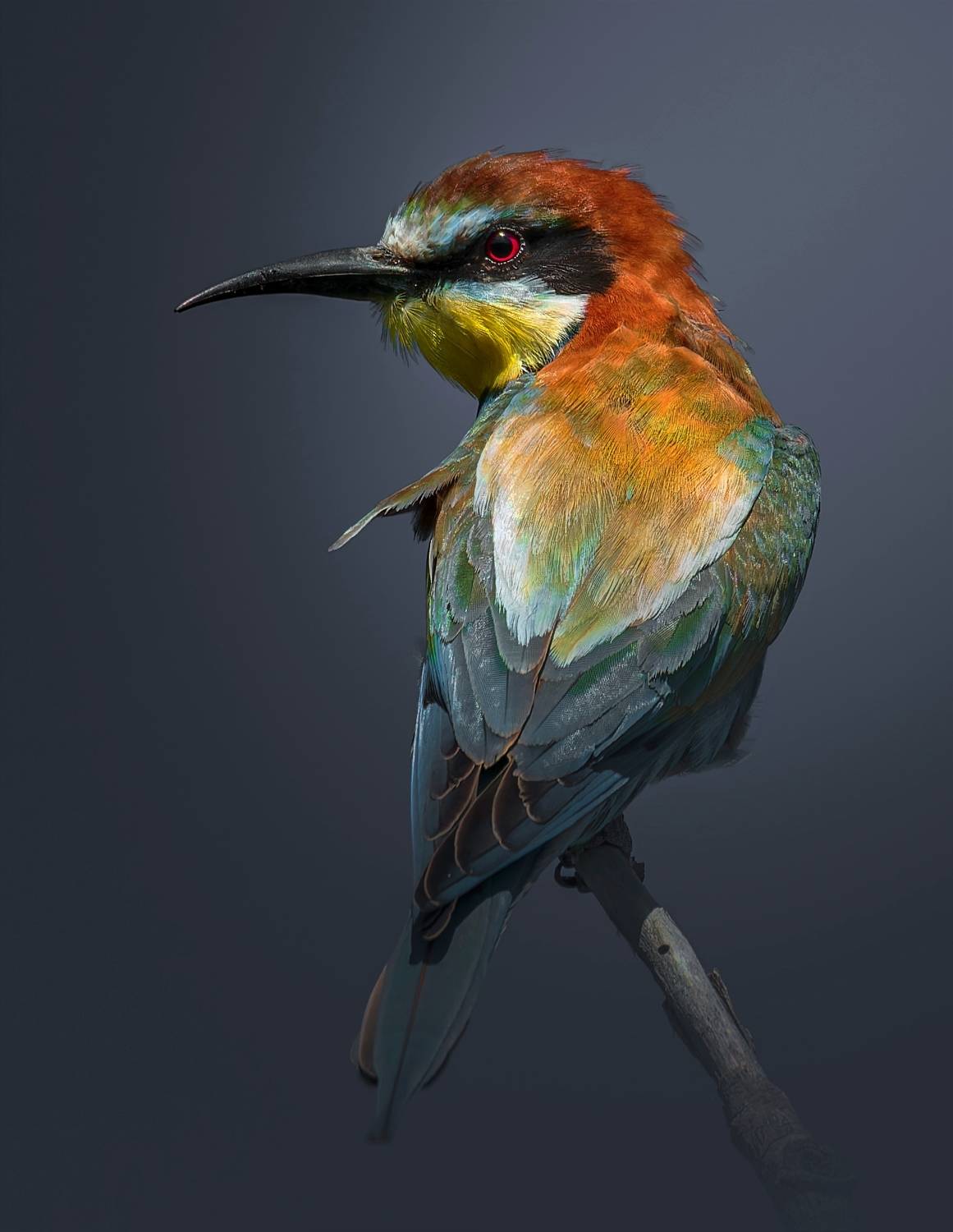 , Фото Александр