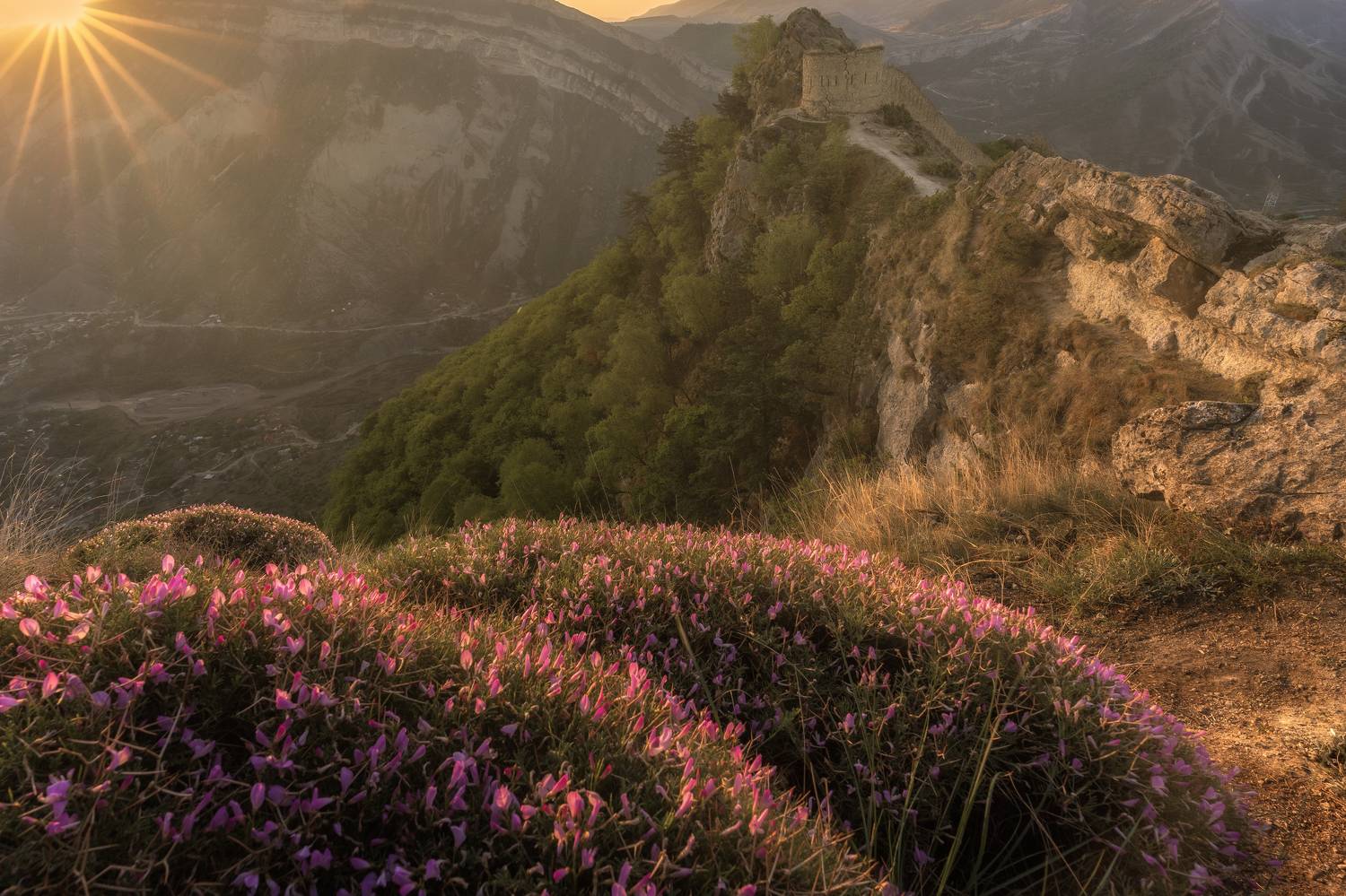 дагестан, Гусева Елена