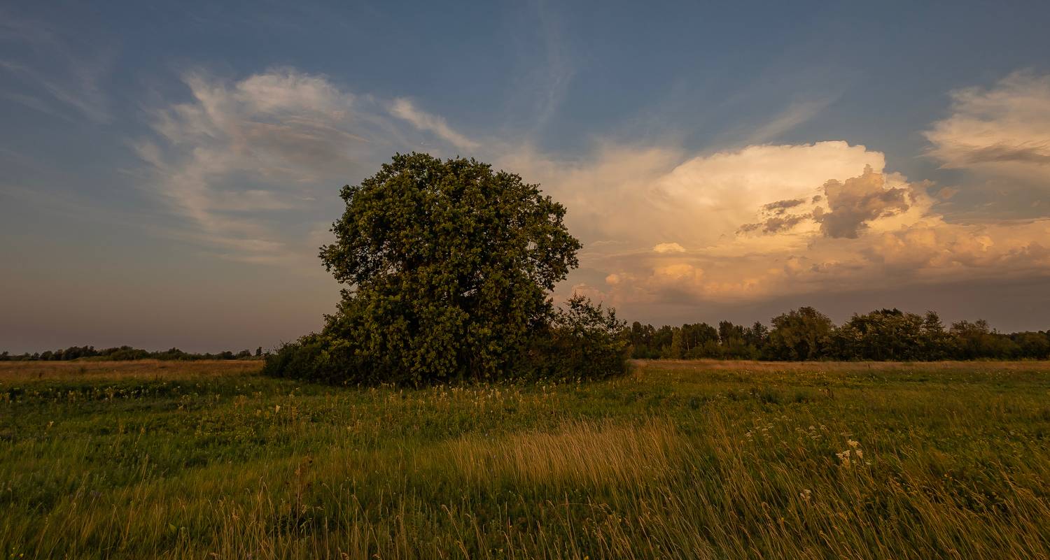 , Подосинников Максим