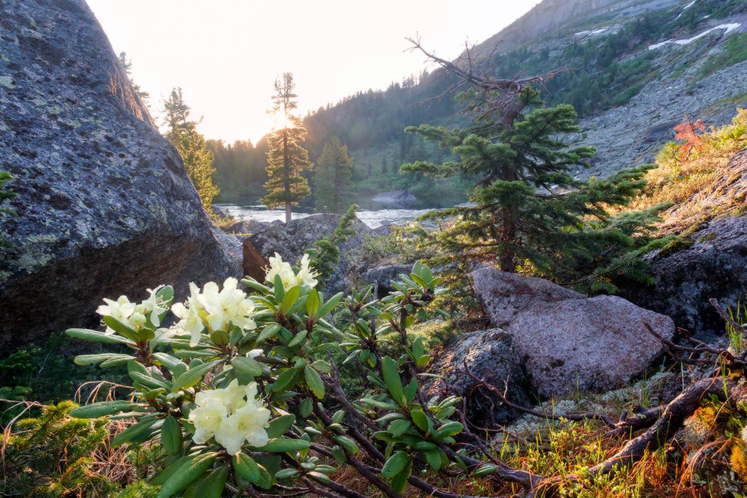 Ергаки, оз. Художников, Юсупов Александр