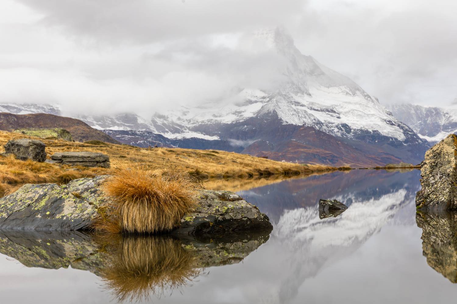 , Евгения Чех