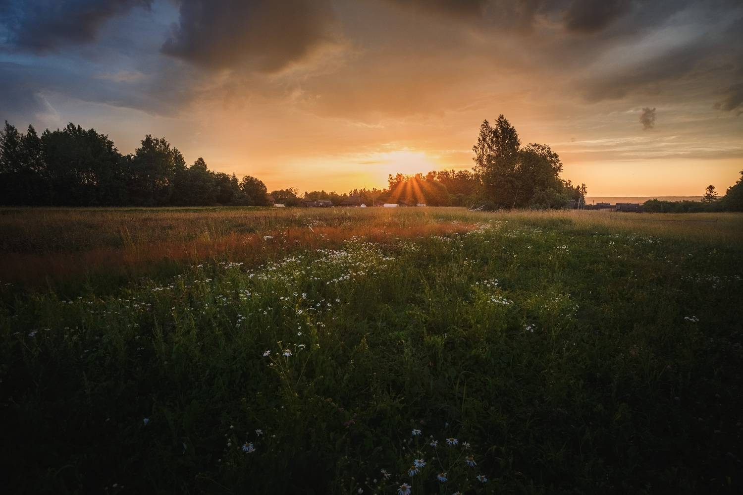 лето Смоленская обл Торбеево , Зеленько Дмитрий