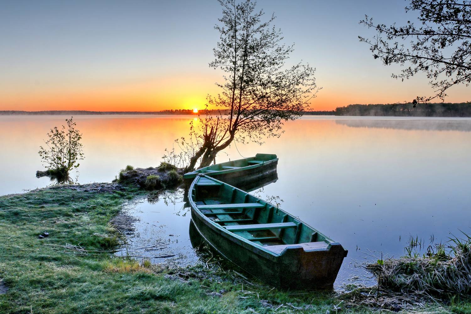 , Добролюбова Тамара