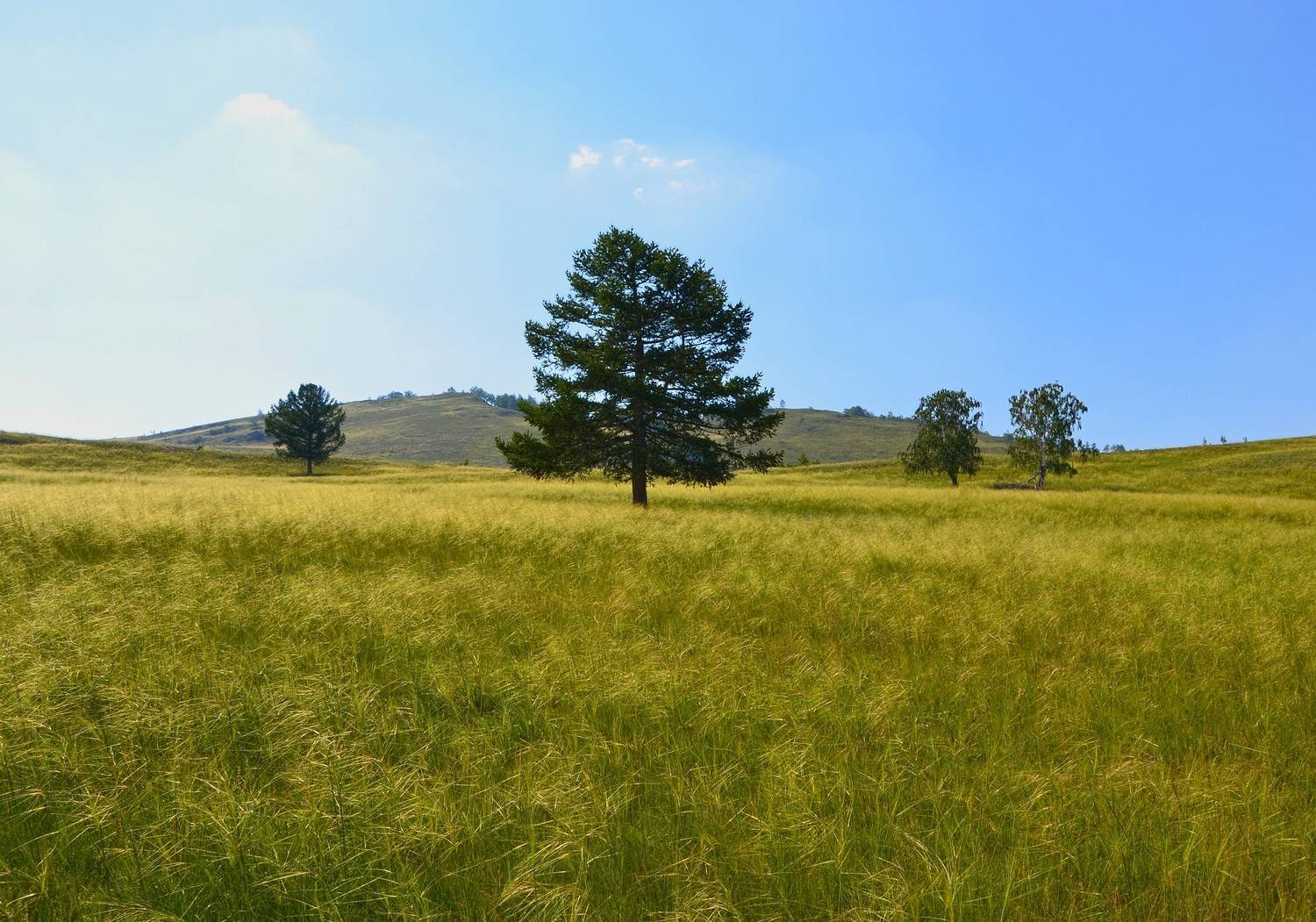 , Дмитрий Шустиков