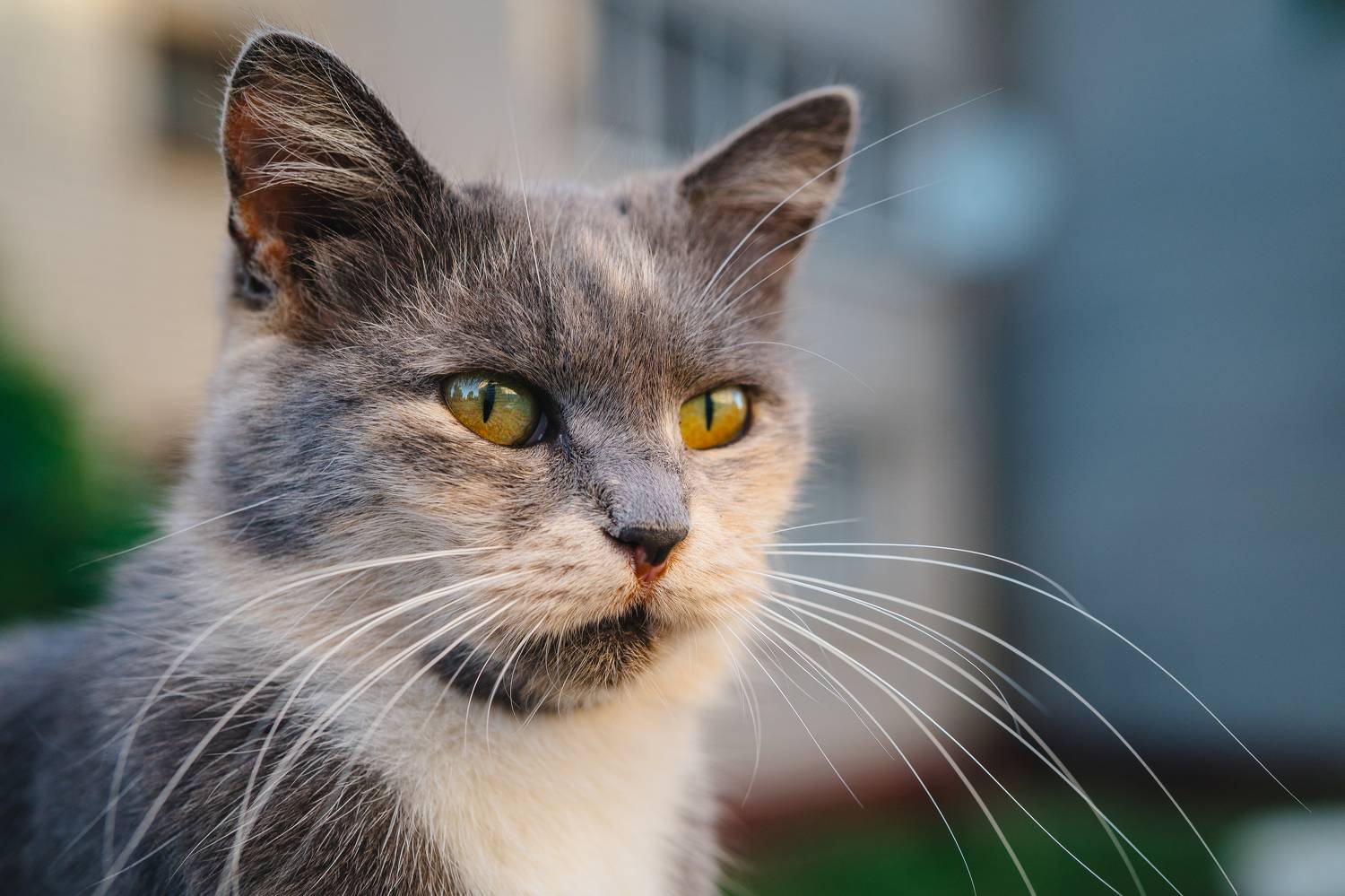 , Вертиков Юрий