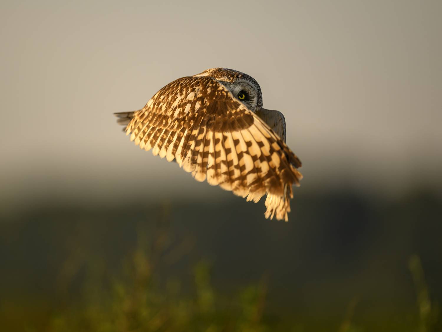 , Пупонин Сергей