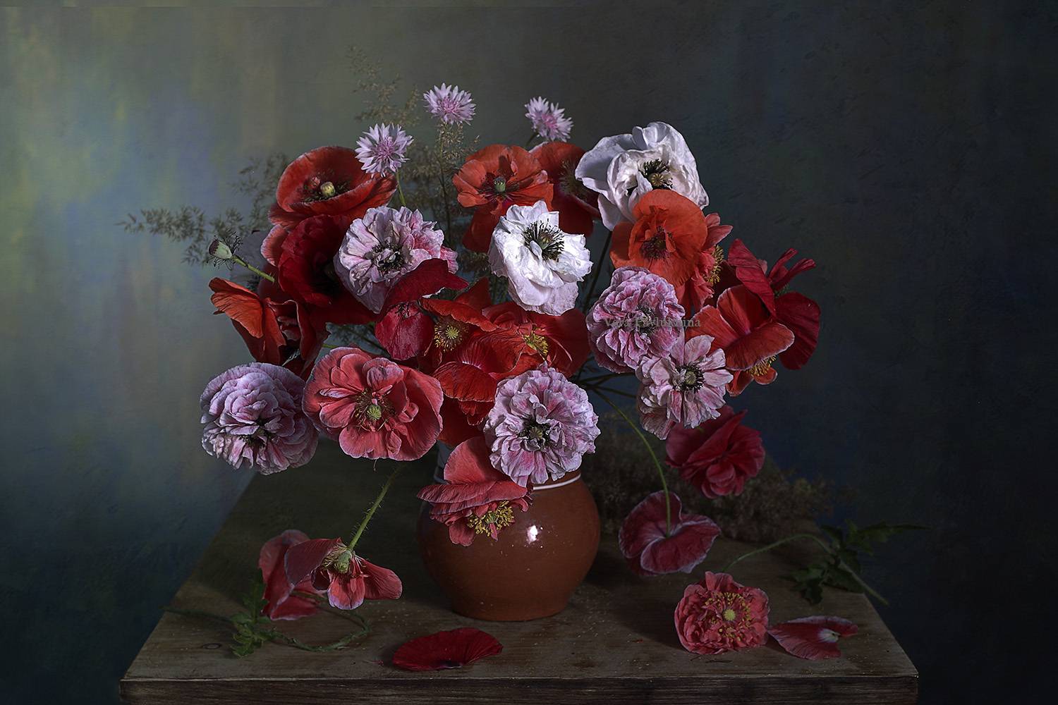 цветы, маки, вера павлухина, лето, красота, Вера  Павлухина