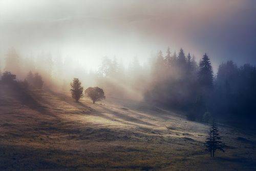 Permeated with light