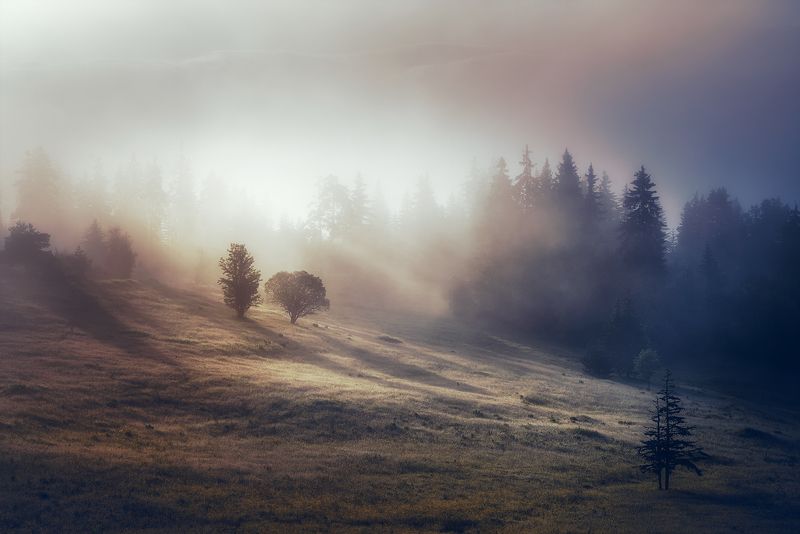 Permeated with light