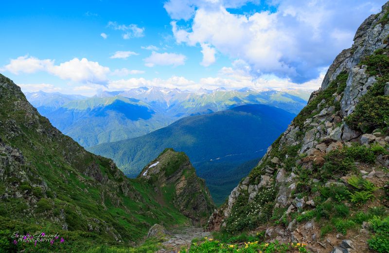 фото превью