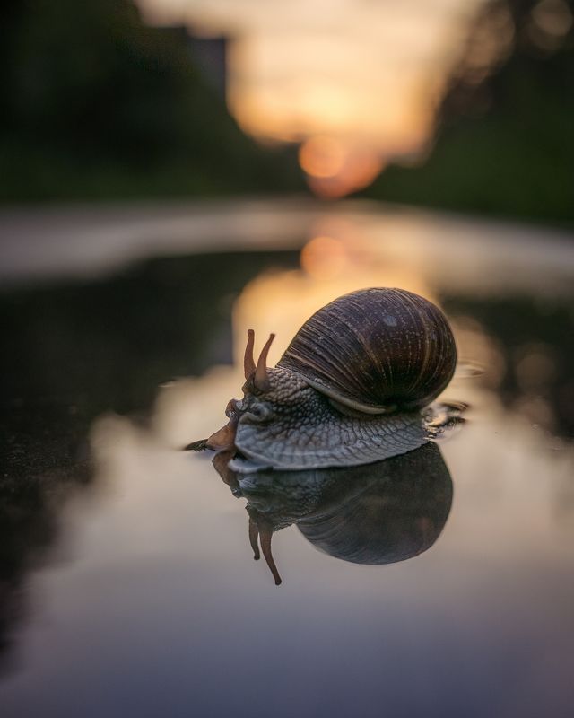 Вечером после дождя фото превью