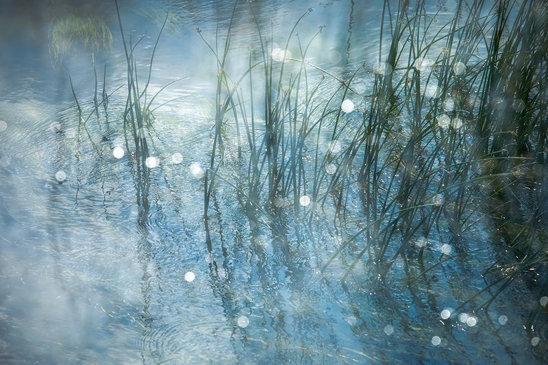 Река Поведь, деревня Подсосенье (Торжокский район Тверской области). фото превью
