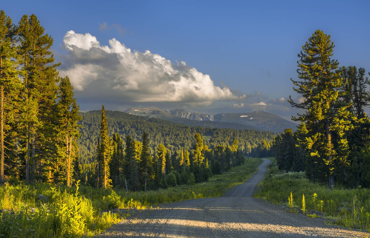 россия, горный алтай, Андрей Поляков