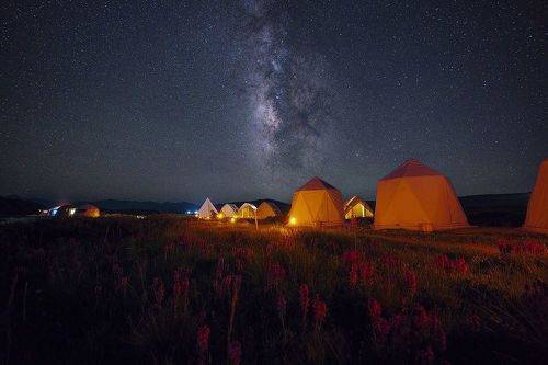 A Purplish memory from the Plains of Deosai, Skardu