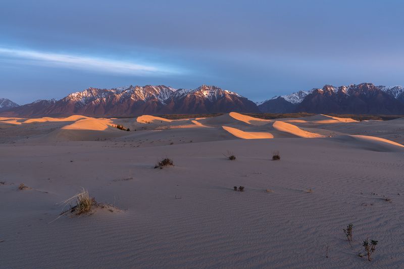 чарские пески, пустыня, горы, кодар, дюны, восход, desert, mountains, kodar, dunes, sand  фото превью