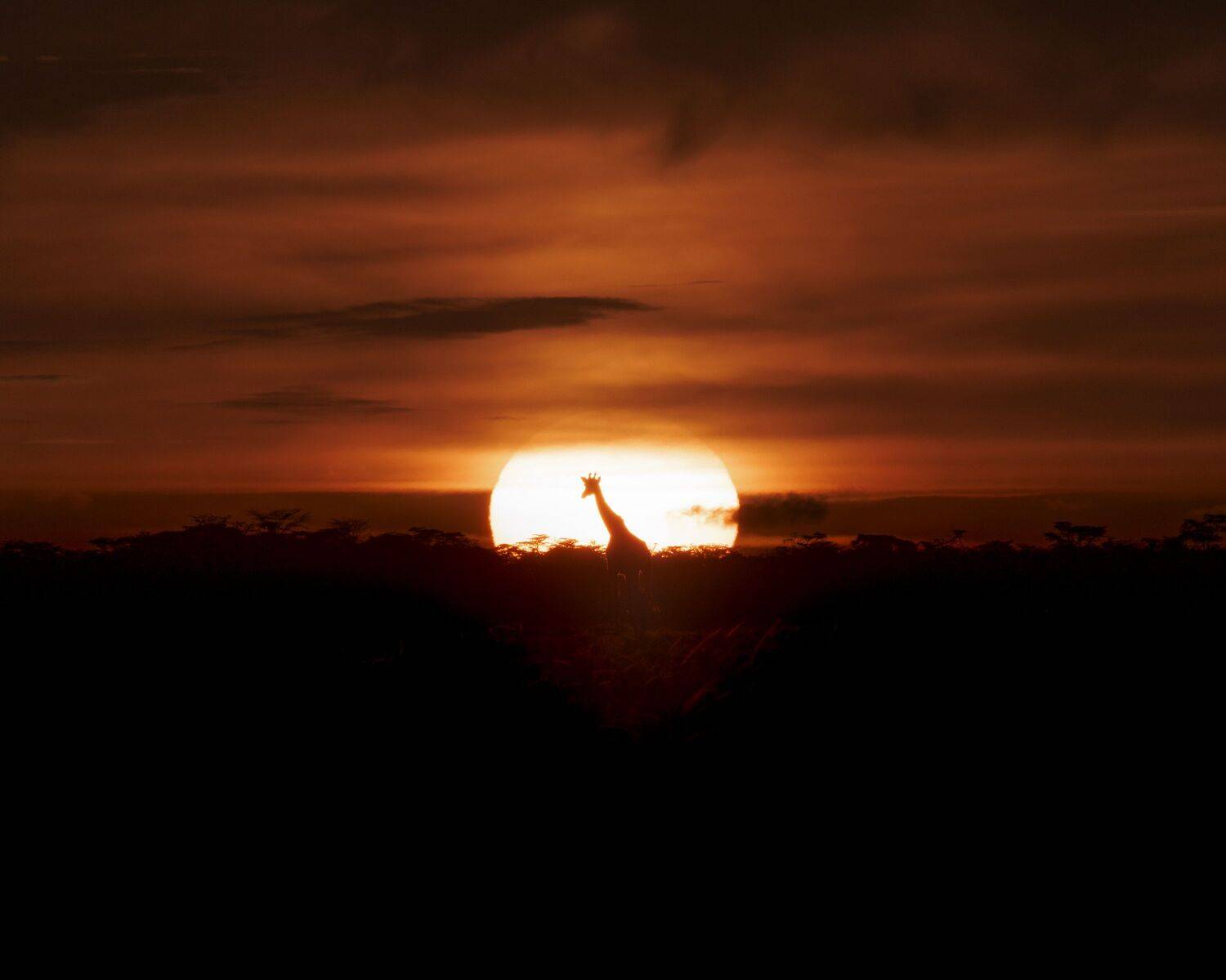 , Khalefa Almansoori