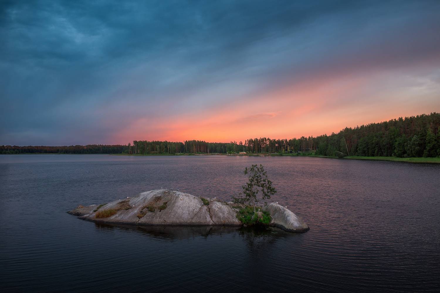 , Загруев Михаил