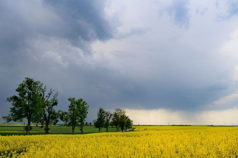 * фото превью