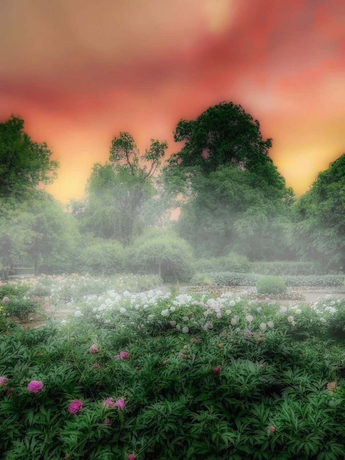 пейзаж, landscape, nature, природа, лето, summer, sunset, закат, Julia Kaissa