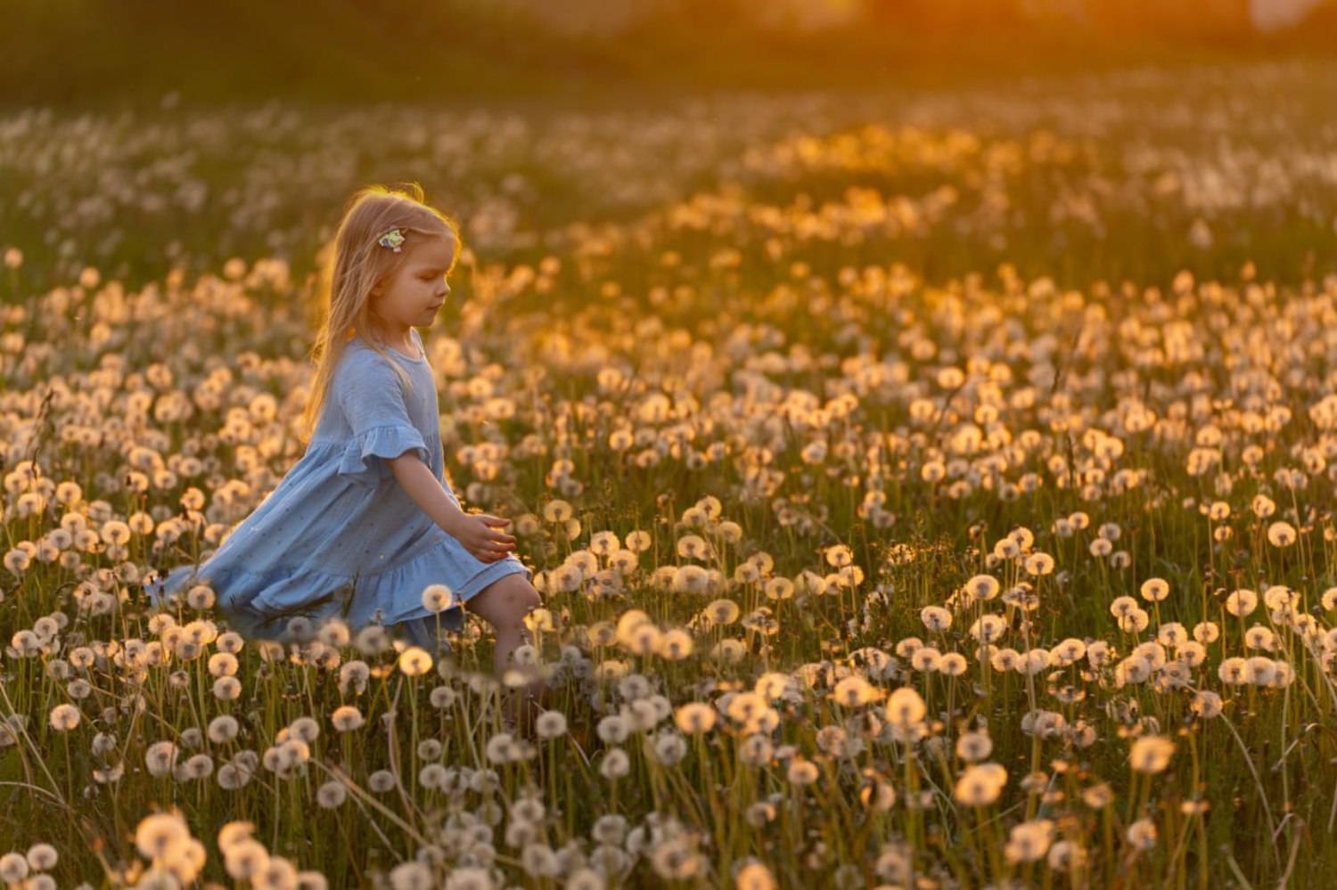 Девочка бежит, девочка, одуванчики, Светлана Зимина