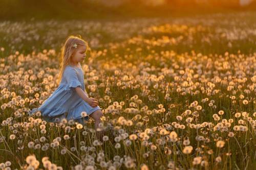 Бегущая по волнам 