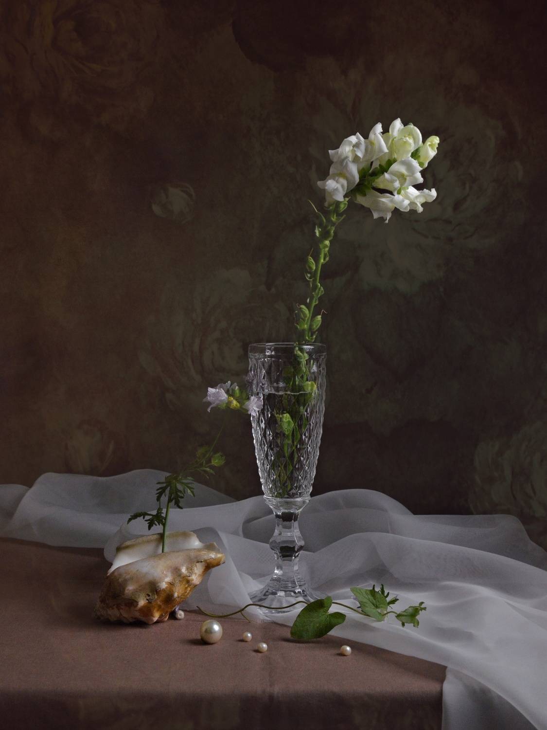 , Дина Полухина