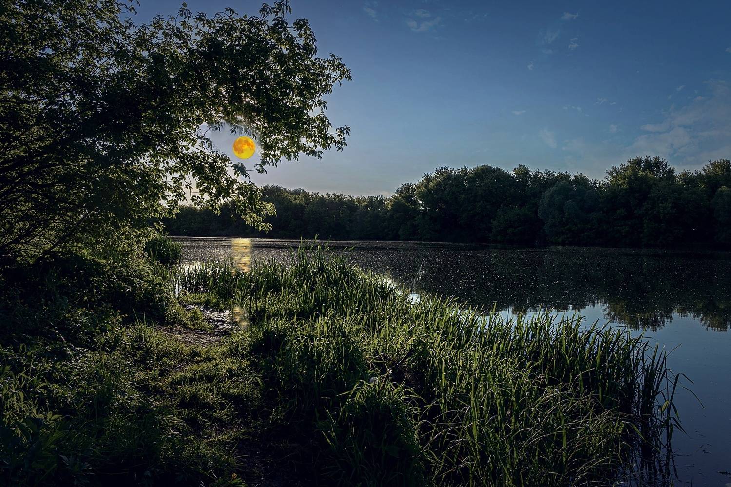 восход луны, река, быстрая, сосна,, Николай Бологов