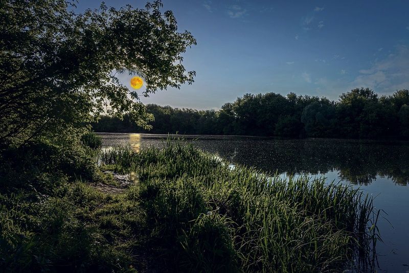 восход луны, река, быстрая, сосна, Восход Луны на реке Быстрая Сосна фото превью