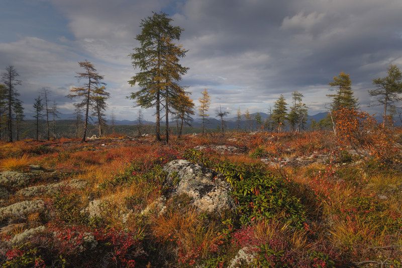 Колыма фото превью