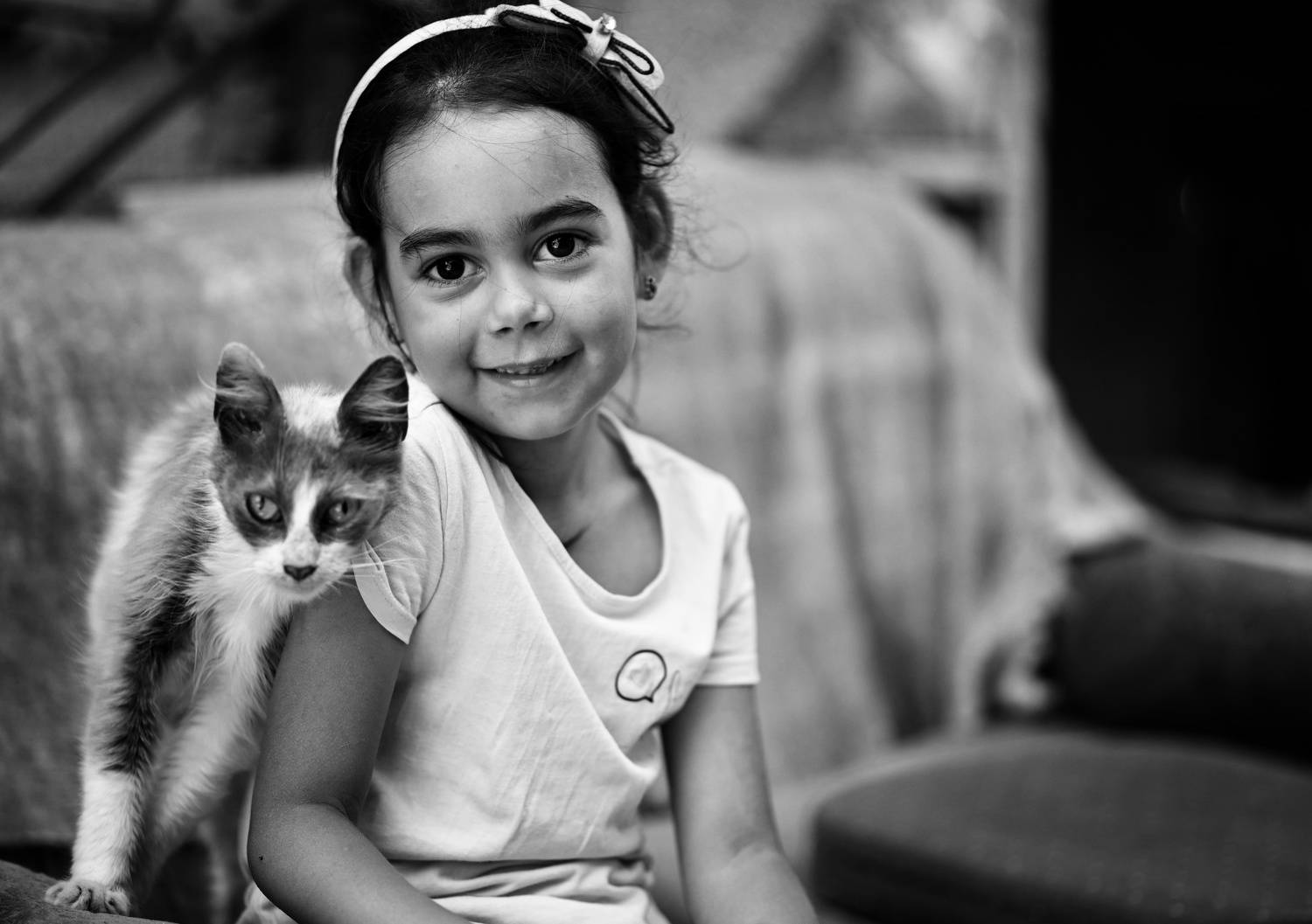 , Герчев Николай