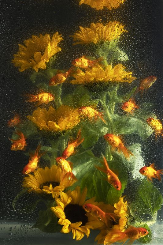 Фотопроект \