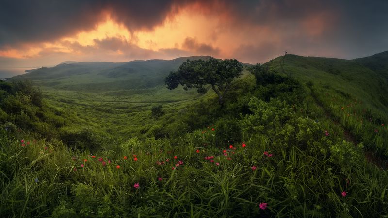 *** фото превью