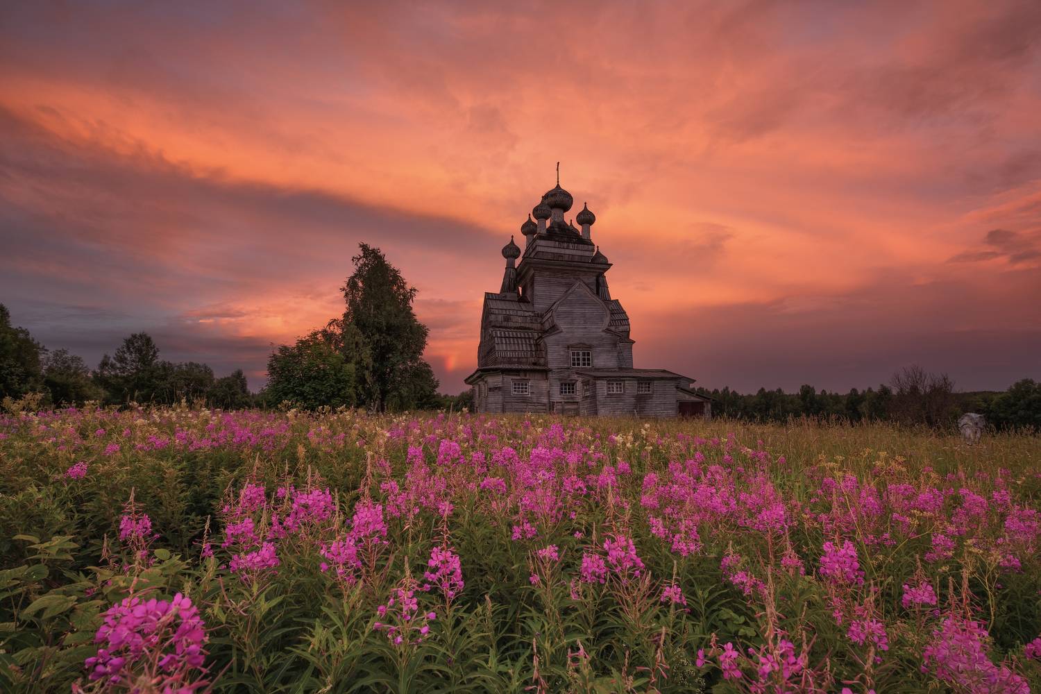 , Максим Евдокимов