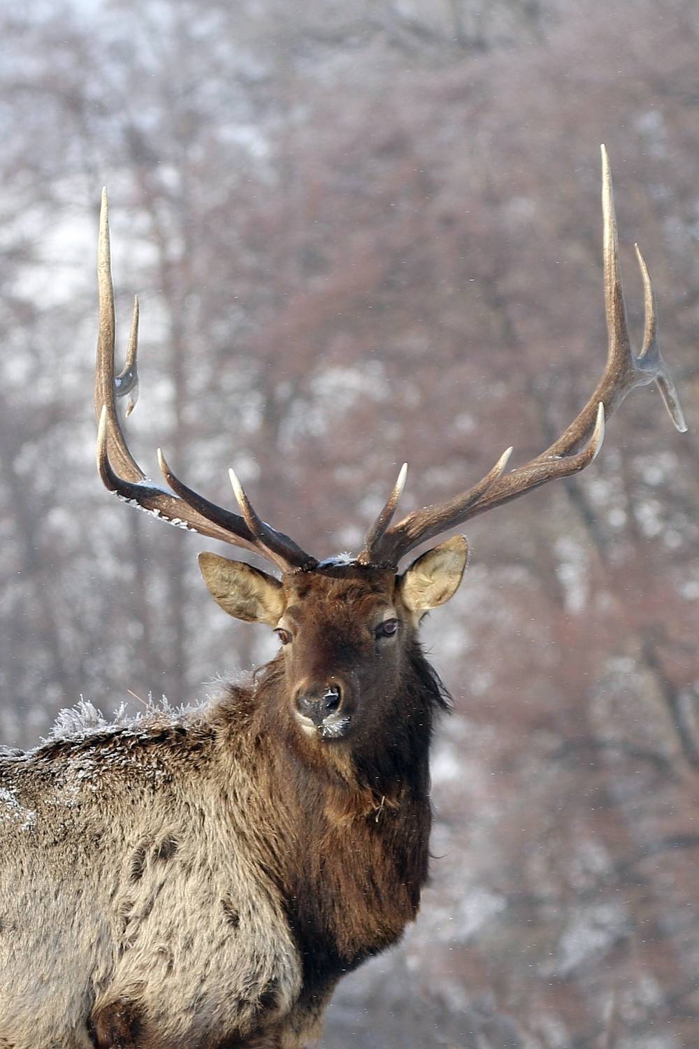, Евгений Софронов