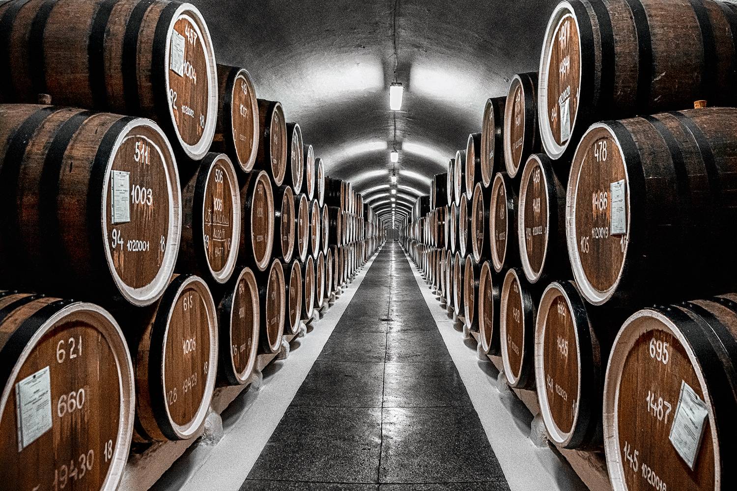 , Владимир Ноздрачев