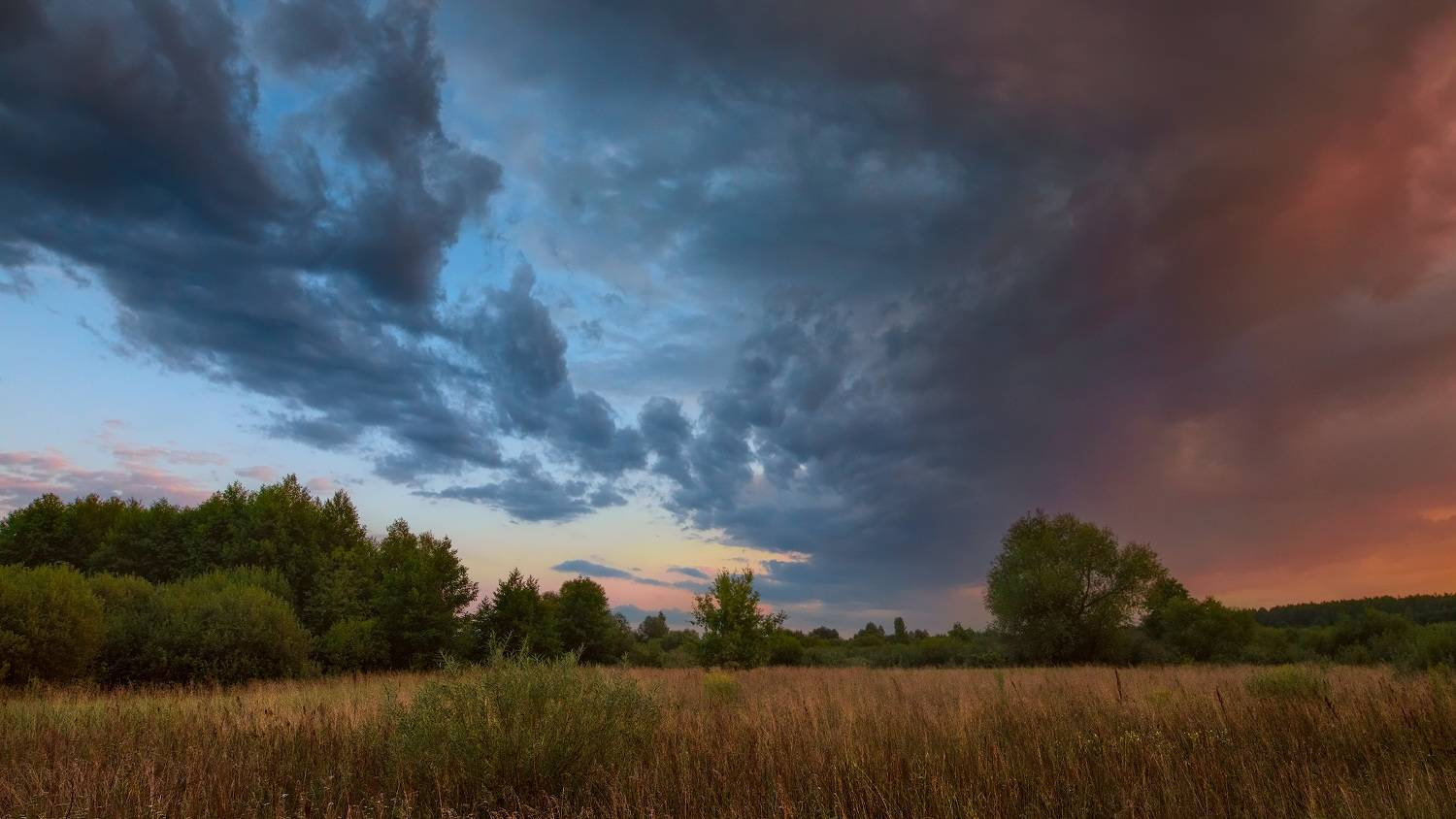 , Михаил Кушнер