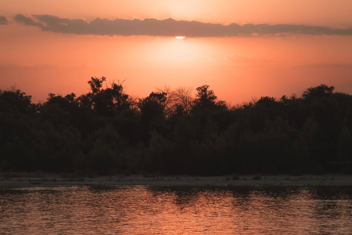 don, river, sunlight, sunset, landscape, forest, , Бугримов Егор