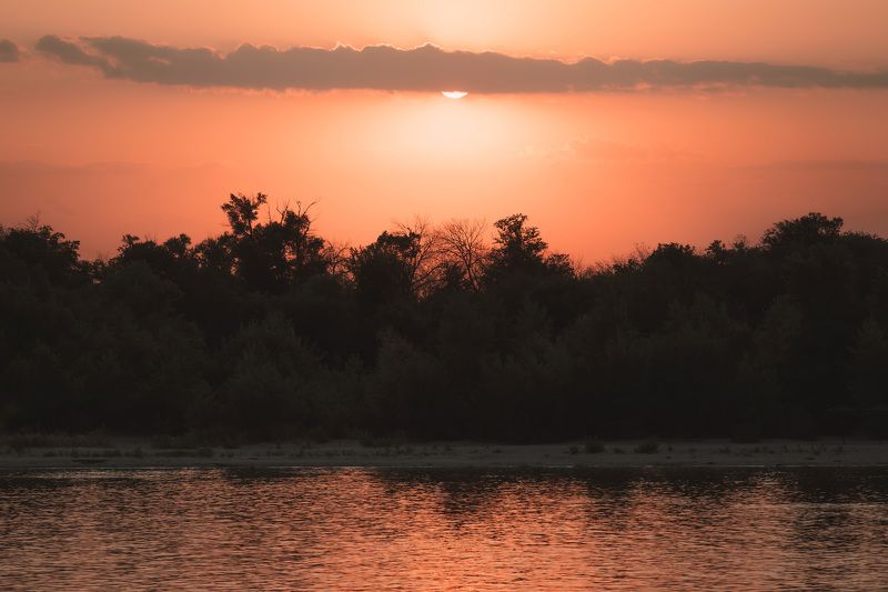 don, river, sunlight, sunset, landscape, forest,  На Дону. фото превью