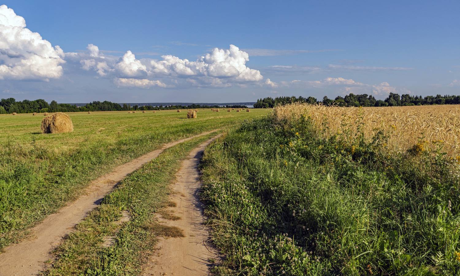 , Шитов Александр