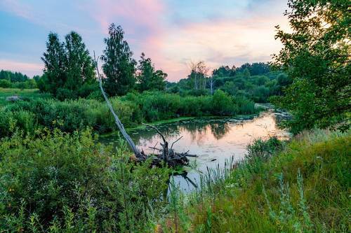 Ещё один вечер