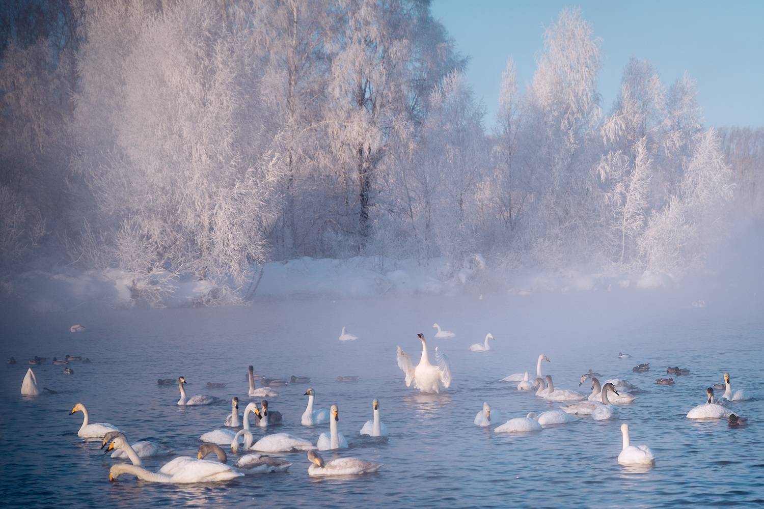 , Рагинская Ольга