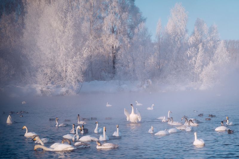 Зимняя сказка фото превью