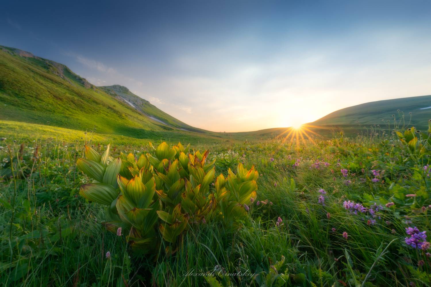 , Орнатский Александр
